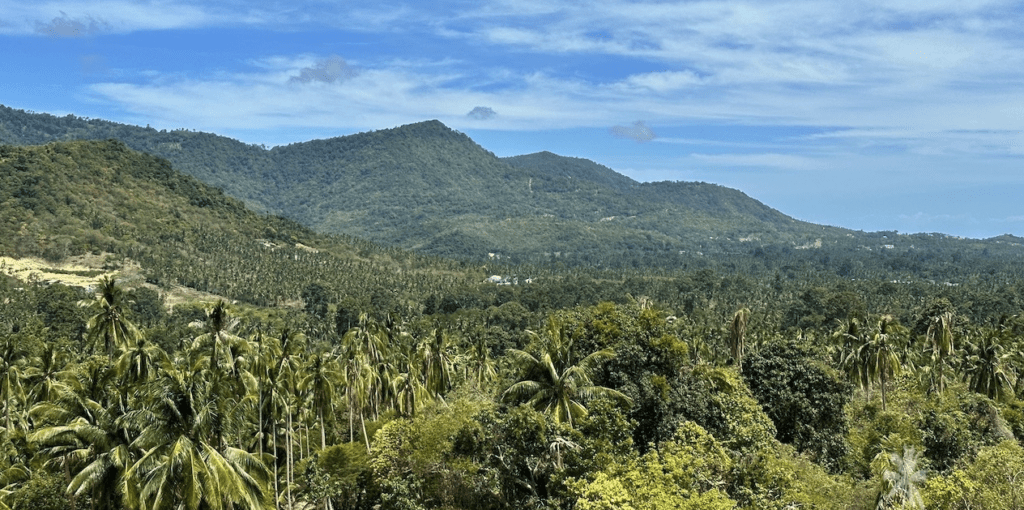 A scenic view of green hills and palm trees under a blue sky in Koh Samui, Thailand.