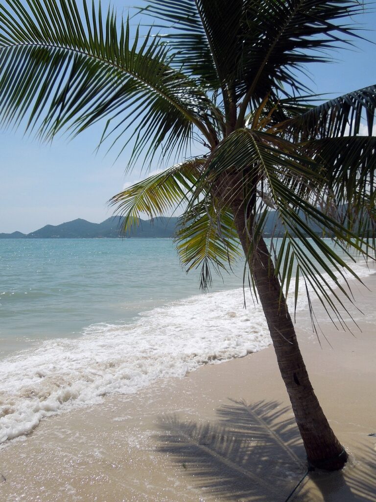 Real Estate Market Trends in Koh Samui in 2025